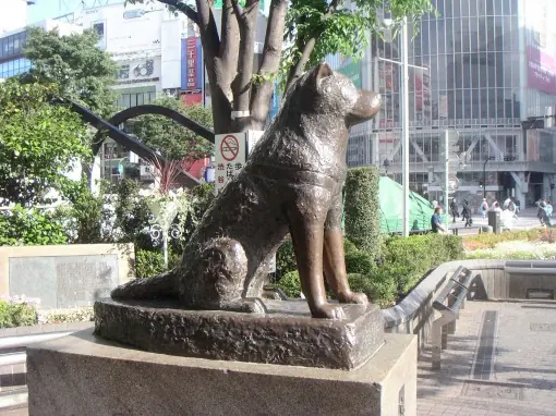 Profesor
