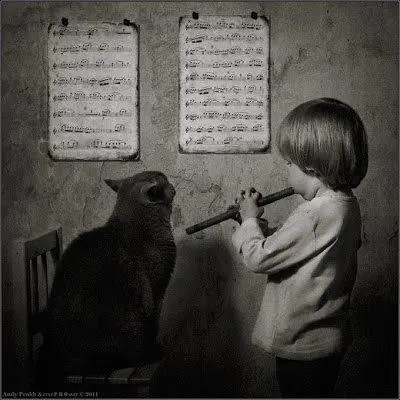 "La niña y el gato." fotógrafo Andy Prokh