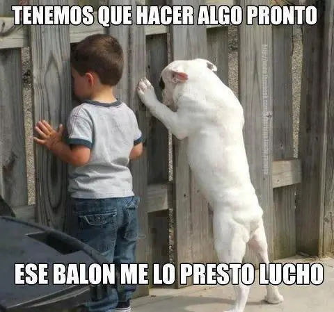 Humor Grafico