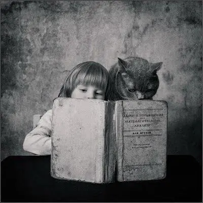gato