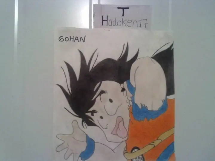Dibujos de Dragon Ball Z(propios)