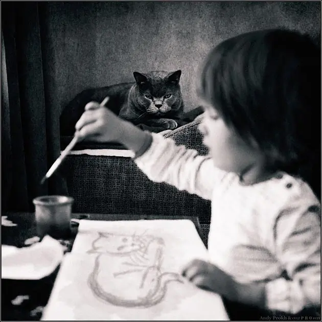foto