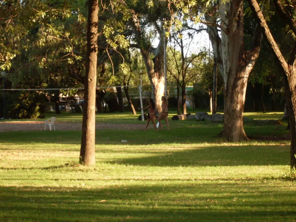 cordobesa