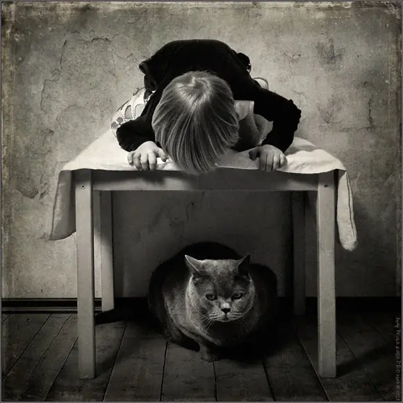 gato