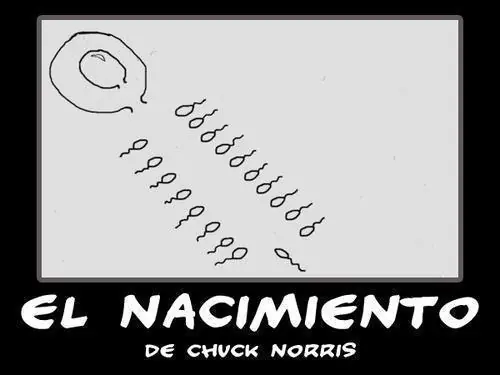 ¿Por qué se hizo famoso Chuck Norris?