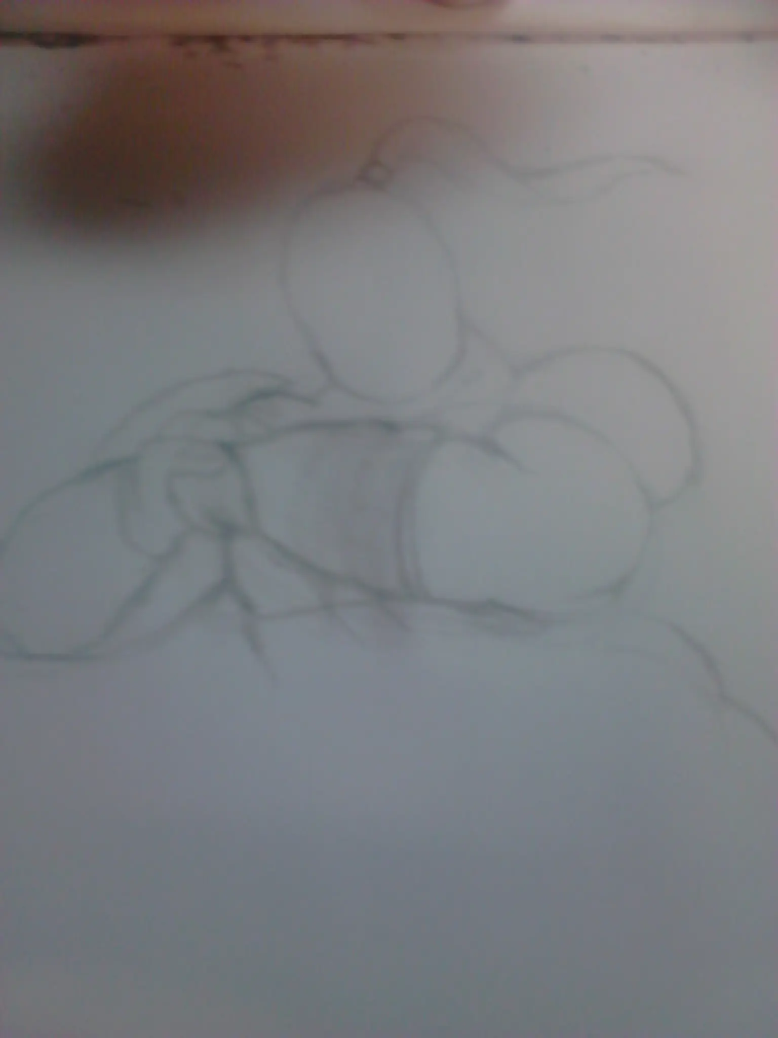 pasos