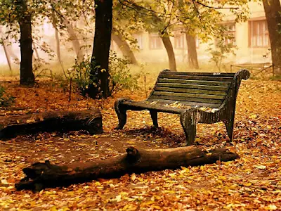Cuatro poemas de amor y ausencia