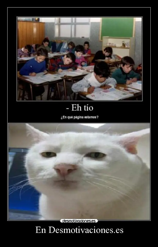 Riete con Taringa! [1ª Parte]