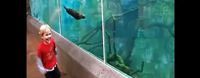 'Duelo' en el Zoológico de San Diego