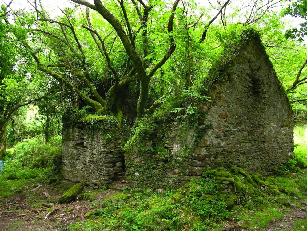 ruinas