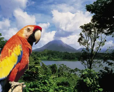 imagenes