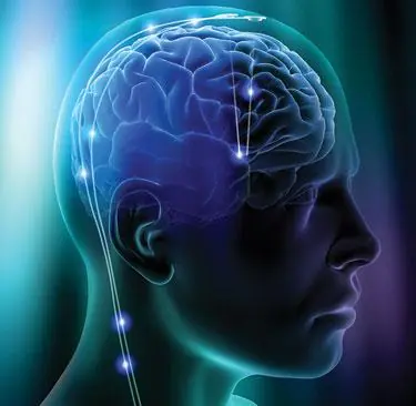 Mito desvelado: Usamos mas del 10% de nuestro cerebro
