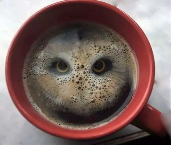 HD
