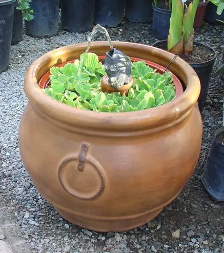 estanque