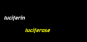 biología