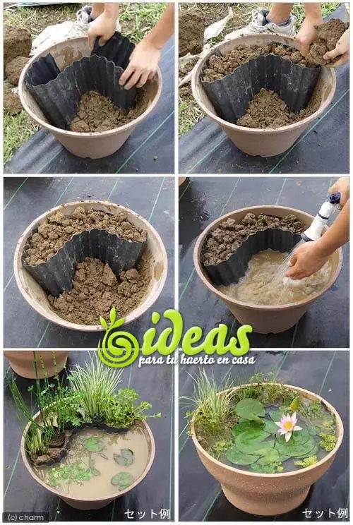 Un Mini estanque en una maceta?