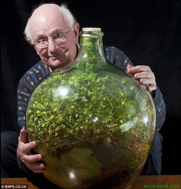 Todo un ecosistema en una botella