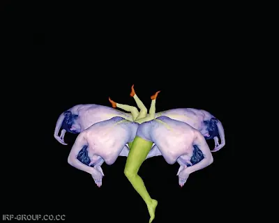 colorido