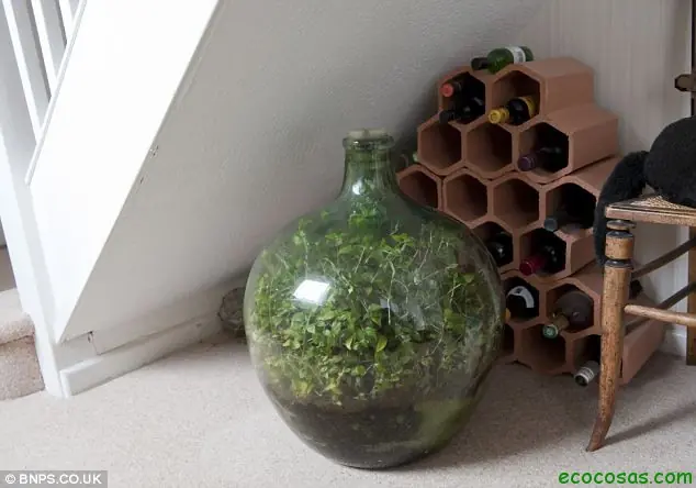 ecologia