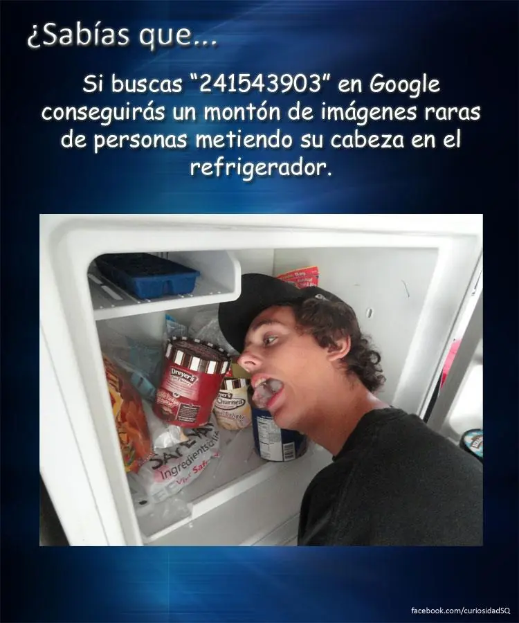 10 datos
