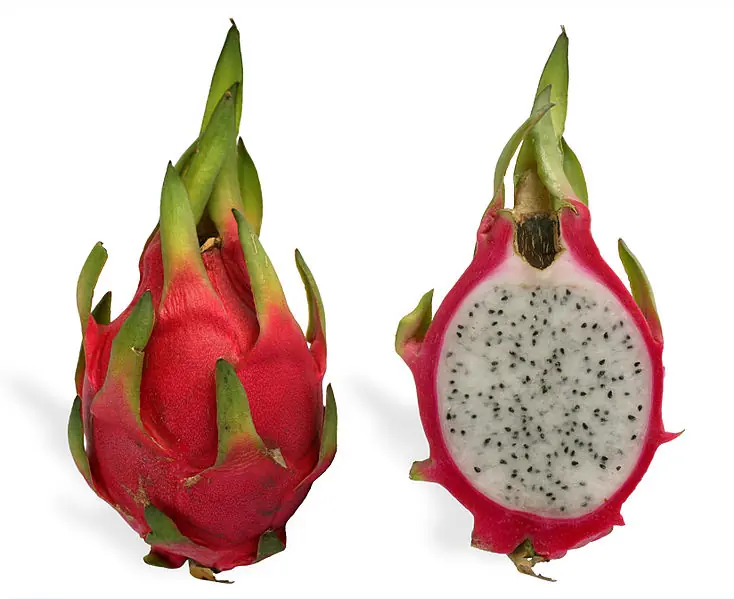 raras
