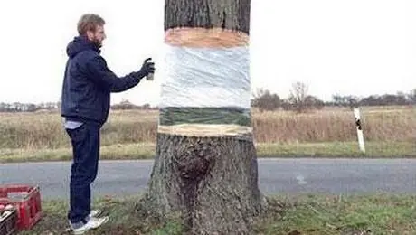 Ilusión óptica-árbol "incompleto"