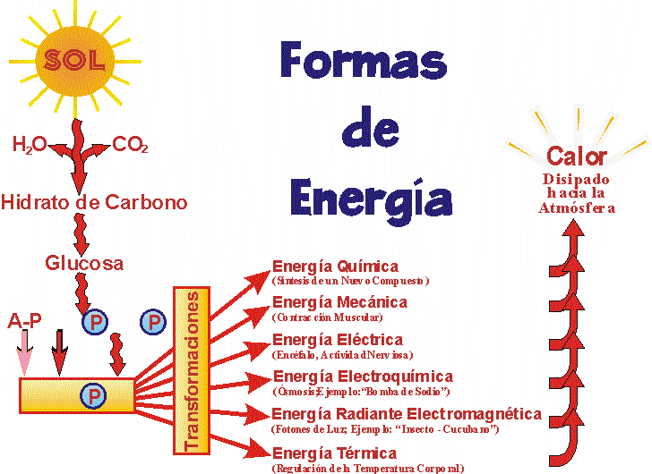 mi tarea de fisica