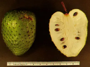 deliciosas