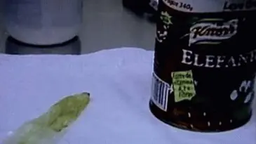 Un preservativo en un bote de tomate!