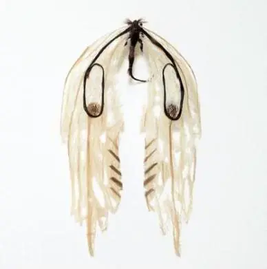 Un artista sin un “pelo” de tonto.