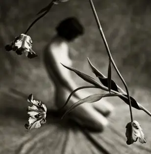 soledad