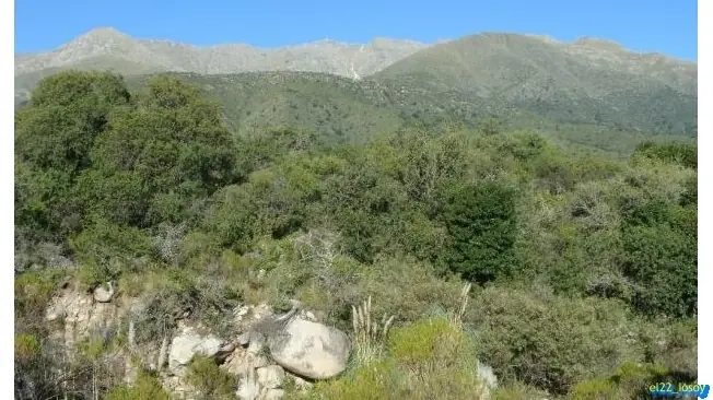naturaleza