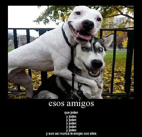 troll