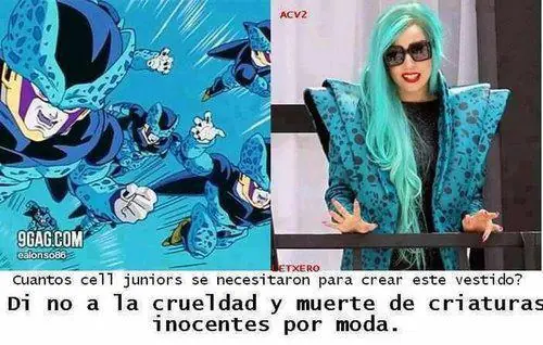 memes