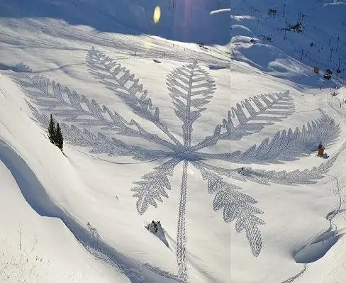 arte nieve
