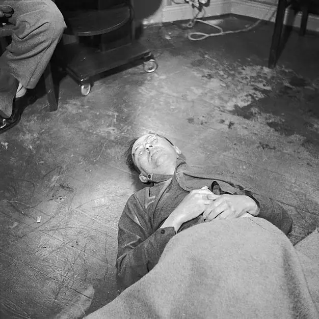 ¿Quien fue Heinrich Himmler?