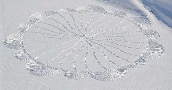 mucho mas cool  arte en nieve