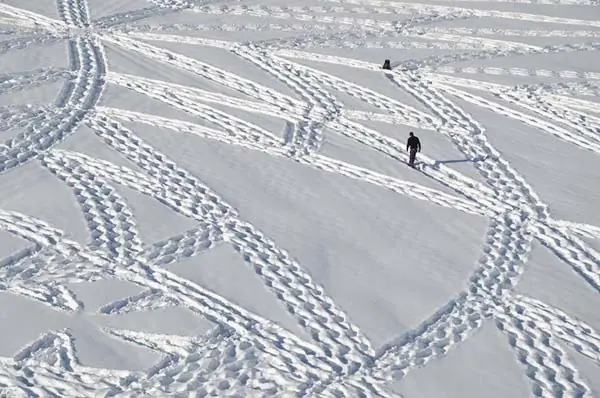 nieve