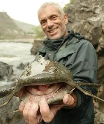 Monstruos de Rio