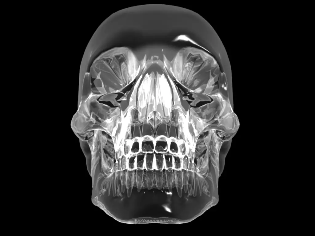 calaveras