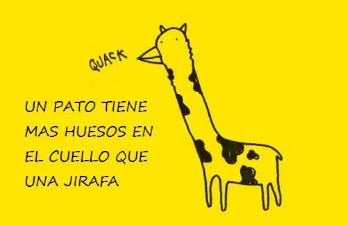 Aprende 40 cosas en unos minutos (no repost)