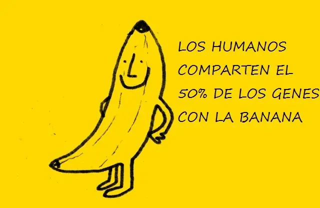 aprender