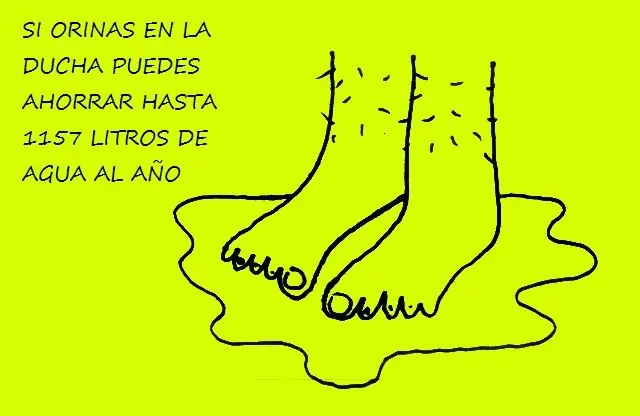curiosidades
