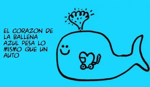 aprender