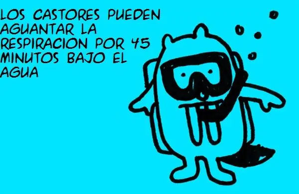 curiosidades