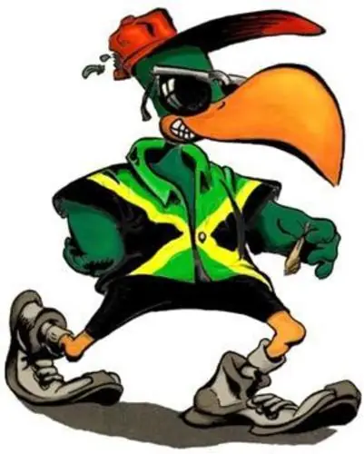 Los Pericos