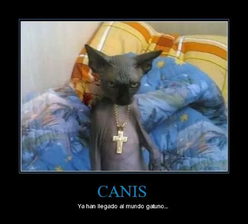 negro