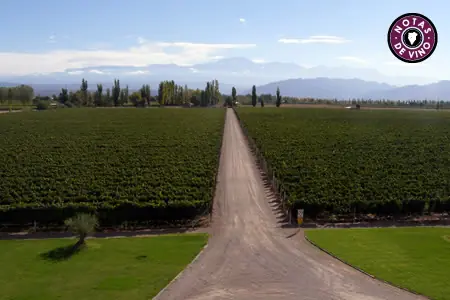 malbec