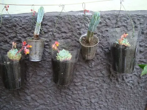 reciclable