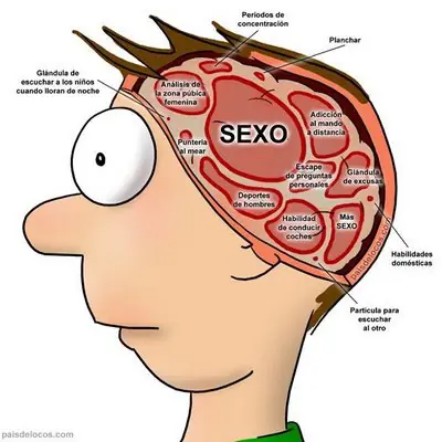 113 Formas de aumentar tu inteligencia [Megapost]